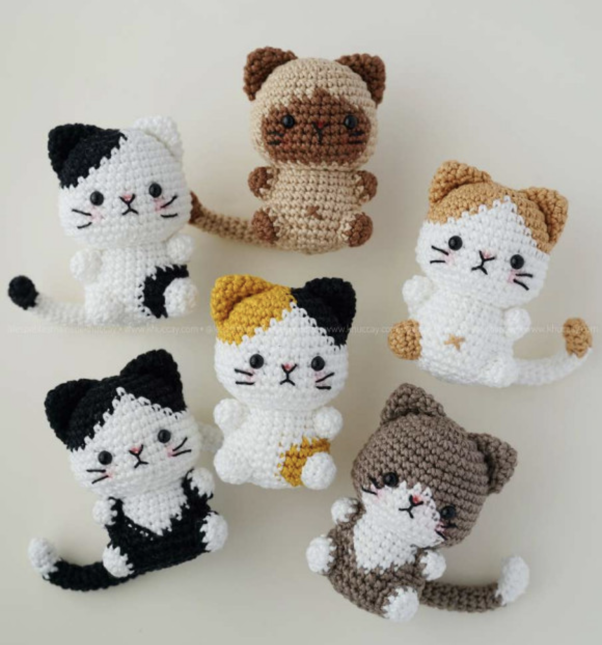 Gatos